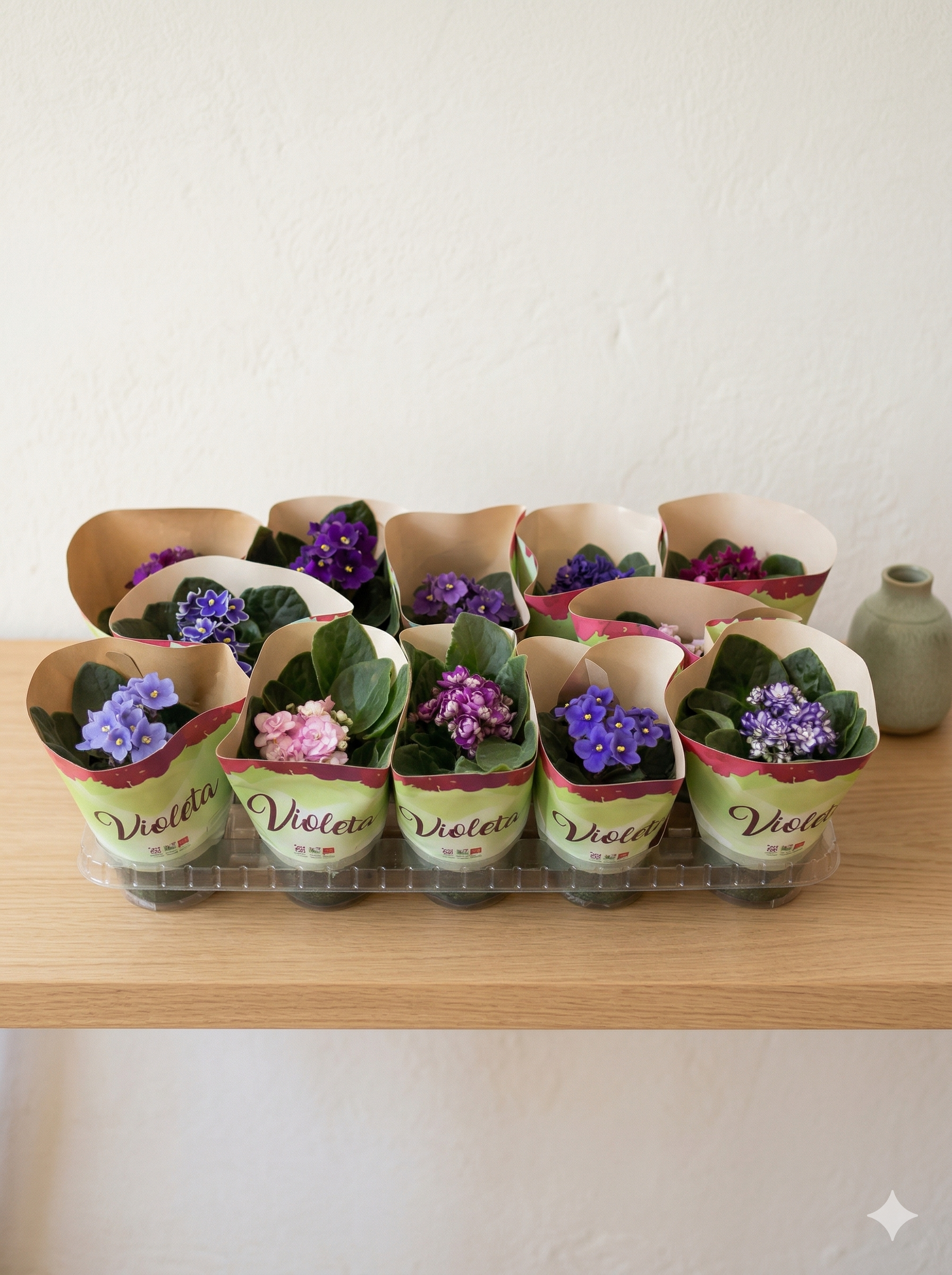 Plantas silvestres